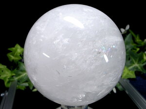 y523:59܂Ń|Cg2{z_̓fyXm[zCg  ۋ tza95mm d1188g ɏVR _́yuWYz p[Xg[ VR