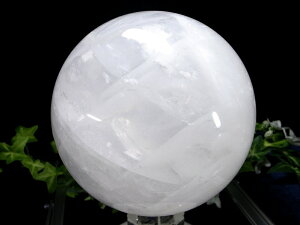 y523:59܂Ń|Cg2{z_̓fyXm[zCg  ۋ tza134mm d3326g ɏVR _́yuWYz p[Xg[ VR