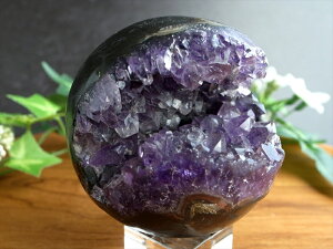 y523:59܂Ń|Cg2{zyXWzAȏΌ̃AWXgyAWXg Ό  ۋ tza 57mm d 212g  ̎ ƈ炬̐ _́yuWYz 