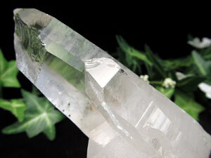 A S[ft@gIyq}Y   pؐtzd 357g q}̐_Xh t@g̑w wȃGlM[ 1_yq}