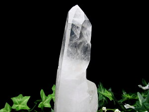 R^t@gIyq}Y   pؐtzd 475g q}̐_Xh t@g̑w wȃGlM[ 1_yq}Yzp[Xg