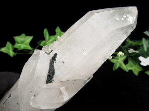 A S[ft@gIyq}Y   pؐtzd 563g q}̐_Xh t@g̑w wȃGlM[ 1_yq}