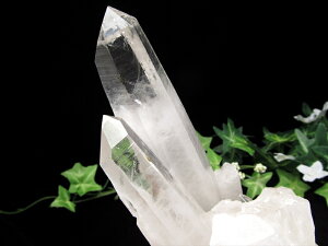 R^t@gIyq}Y   pؐtzd 1463g q}̐_Xh t@g̑w wȃGlM[ 1_yq}Yzp[X