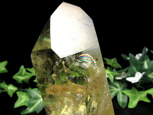 yVg |Cg u pؐtz155mm d681g ZF  11̒a _́yuWYz p[Xg[ VR