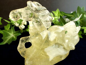 2026N̊xyVg n uz99mm d169g Vtɐ߂ ̏xn ̔n삯 ւ̋O N ^ o^ ^ n`[t̃p[Xg[ p[