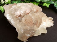 ＼夏特価／ 初入荷！可愛らしい茸のような結晶【カルサイト (方解石) クラスター】最大幅113mm 重さ410g …
