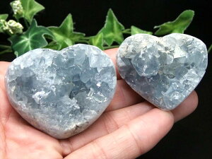 n[g^ Vg̐΁yZX^Cg ΁z1 300g-320g AAx̏ے ɏVR V ̂Fy}_KXJYz p[Xg[ VR