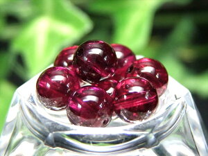 y123:59܂Ń|Cg5{ziBe27 5Ay1 [hCgK[lbgz6.5mm-7mm f̃CbhJ[ ^̈̐ jłÂ΂̂ЂƂ ԎF̒ў֐΁yChYz