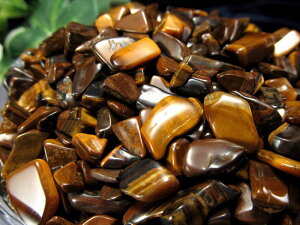 �y11��23:59�܂Ń|�C���g2�{�z�������������O���[�h�y�^�C�K�[�A�C ������z��1kg ���傫�� ���ϖ�10mm-25mm�O�� ���^�E�d���^�̐� �����Ղ�1�L���O�����y��A�t���J�Y�z �p���[�X�g�[�� �V�R��