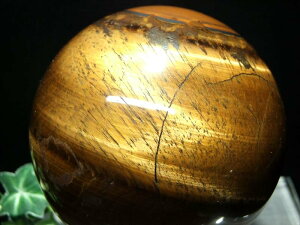  ȃV[I 4Ay^CK[AC ۋ tza106mm d1701g ^̑㖼 ǎVgV[ K^Ȃ΁yAtJYz