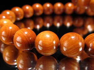 y1023:59܂Ń|Cg5{zyKizE؋yLOhSEbhuXbgz8-8.5mm×24O yؖtz×爤u̖؁v VR؎gpyspz p[Xg[ 