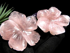 t̖K `[t MTCYy[YNH[cigΉpj uző啝4.5cm-5cm E^ےXg[ CeA₨ƂĂyuWYz p[Xg[ VR