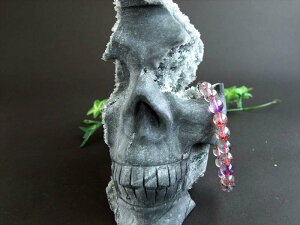 yXWzBꖳAehN!!yS[XgXJ uző啝165mm d1897g ̍Đے郂`[t GI꓁Β _ylYz