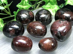 yK[lbgCk[}Cg ^u lߍ킹z100g 3-5 1̒a 󏭂ȃK[lbgƃk[}Cg̋ ñGlM[ip[Xg[yO[hYz p