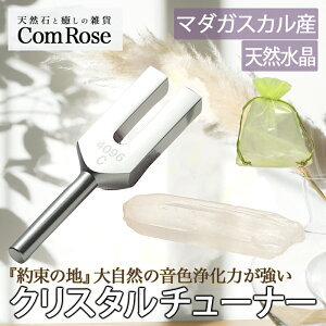 y523:59܂Ń|Cg2{z芴Q̎₷傫߃|Cgty}_KXJY |Cgt NX^`[i[ 򉻃Zbg I[KW[ܓzw񑩂̒nx厩R