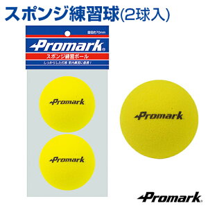 スポンジ練習球 2球入 直径約70mm【野球】【SAKURAI(サクライ)】フルスウィングしても飛距離が出ないバッティングボール トレーニンググッズ 柔らかい 自主練習 上達のコツ グッズ ボール 楽