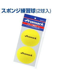 スポンジ練習球 2球入 直径約90mm【野球】【SAKURAI(サクライ)】フルスウィングしても飛距離が出ないバッティングボール トレーニンググッズ 柔らかい 自主練習 上達のコツ グッズ ボール 楽