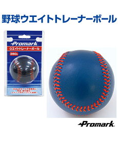 楽天市場 野球 重い ボールの通販