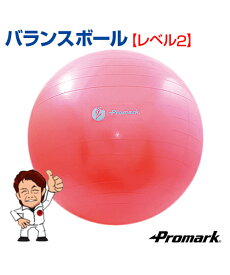 楽天市場 バランスボール 野球 ソフトボール スポーツ アウトドア の通販