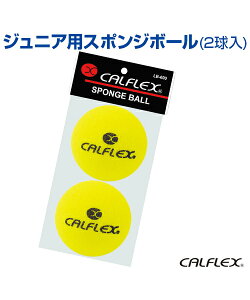 WjApX|W{[2yejX zySAKURAI(TNC)zX^[^[pX|WtH[{[ WjA {[ K LbY w g[jOObY K B̃Rc ObY 