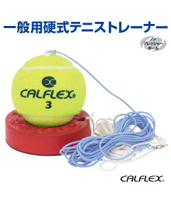 ʗpdejXg[i[yejXzySAKURAI(TNC)zd ʗp mvbV[{[ ejXg[i[ K B̃Rc ObY