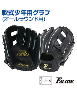 Ou Np I[Ehpy싅zySAKURAI(TNC)zFALCON (t@R) WjA g[jOObY E STCY K B̃Rc ObY