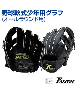 Ou Np I[Ehpy싅zySAKURAI(TNC)zFALCON (t@R) WjA g[jOObY E STCY K B̃Rc ObY