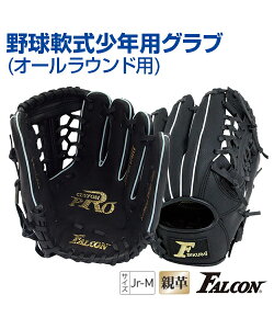 Ou Np I[Ehpy싅zySAKURAI(TNC)zFALCON (t@R) WjA g[jOObY q E MTCY K B̃Rc ObY