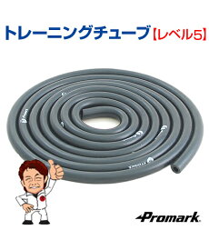 楽天市場 トレーニング チューブ 野球 ソフトボール スポーツ アウトドア の通販