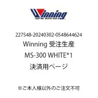 【227548-20240302-0548644624専用決済用ページ】Winning ボクシンググローブ