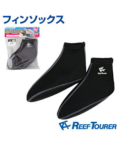 tB\bNXyTabatazyREEF TOURERztB𗚂̉KACe tB\bNX C XC~O nCJbg r[`