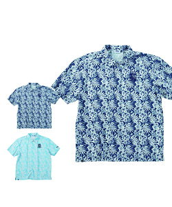y傫TCYzCOOL AIRՔMbV{^jJvgVcyFILA GOLF(tBSt)zY UVJbg z 3L/4L/5L/6L ՔM rbOTCY