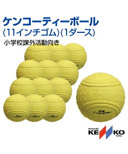 yNAGASE KENKO(iKZPR[)zPR[eB[{[ 11C`S 1_[XyeB[{[z {[ NG[V ۊO {[Q[  O SweB[{[I茠