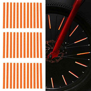 ] tN^[ ˔ y36{ eʁz   ʊw TCNO X|[N h A tg NXoCN }EeoCN zC[ q Ԉ֎q S