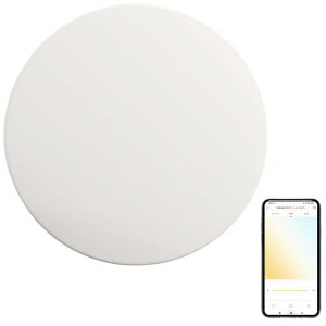 yeelight_�V�[�����O���C�g