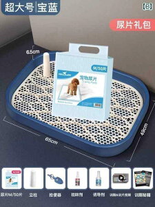 @ybgObY ybg p gC ^ ^ ^ ݂ h~p ֊ Ap ֊p 