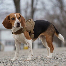 犬用ハーネス 中大型犬用 訓練用 戦術的胸背胴輪 リードセット 散歩用 ペット用品 ドーベルマン ゴールデンレトリバー シェパード対応 丈夫 引っ張り防止 ナイロン素材 調節可能 高耐久性 安全設計 耐久性のある金属製金具 夜間反射板付き 軽量 通気性
