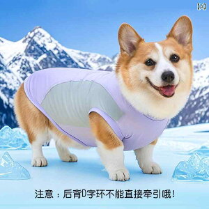 ybgp xXg  ybg p ĕ Ăh~  N[ R[M[ t`uhbO ^     h~ xXg