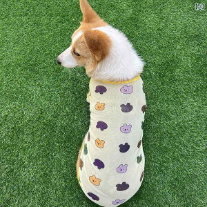 ybgp xXg  ybg p T}[ xXg R[M[ Č nXL[ efB |jA ViEU[  h~ bV 