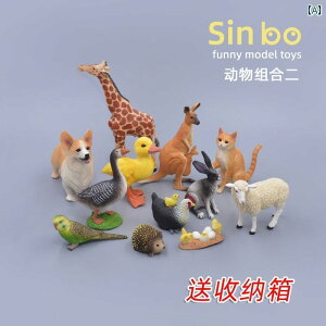 @@tBMA qp ͌^ _   r L  IE { Aq K`E ct   Fm i