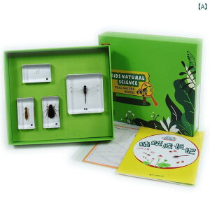 @@tBMA qǂ Ȋw  Fm ߋ  Cm  A   ߍ  W{