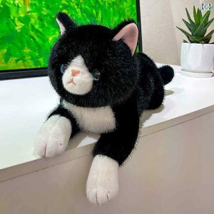 @ʂ݁@ Sete Dudu 킢 V~[V L WRE l`  pp ʂ