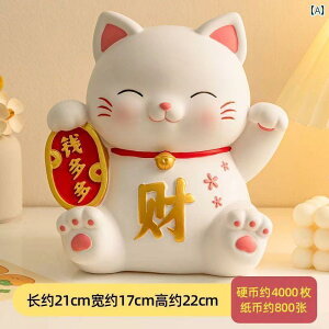  lbg  L   2025NV X^C qp j̎q ̎qp o Re