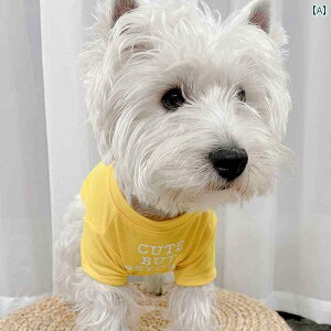 ybg  L   H~  L  rV t`uhbO q ybg R[M[ efB tH