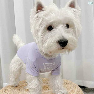 ybg  L   H~  L  rV t`uhbO q ybg R[M[ efB tH