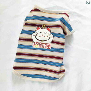 ybg⌢̔̉ĕBefBxAȂǂ̏^pBʋCĂ΍łw̃xXgB