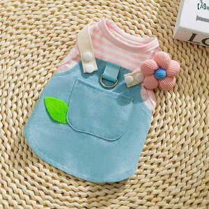 Lp̏tĕɏ^fj̃[hƃn[lXts[XЉ܂B