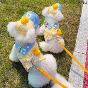    ^p̌̃[ht̃n[lXB}`[Yr[O[NV[eAȂǂ̌ɍœKBĂ p&gtVтUɍœKłB