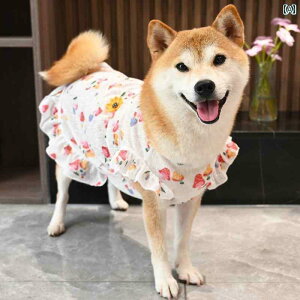 `[tƂĂ̓efBxAČĔL`ꂽ̖hѓĂ΍p̃I[V[YΉw̏oߗށB