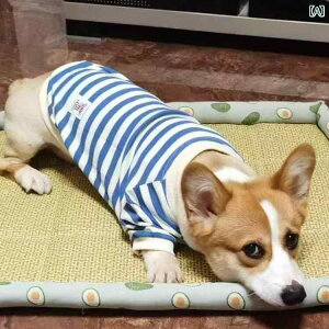 񂿂 ybg 킢 ybg   tH~ ^ ^  R[M[ Z[^[ {g K Vv g Ci[